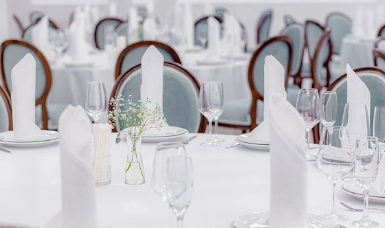 Фото №4 зала Зал «Сиреневый»