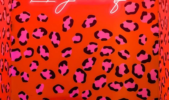 Фото №8 зала Лофт «Миллениум»