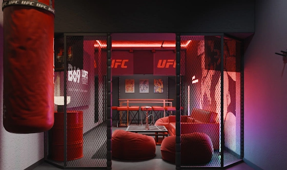Фото №14 зала Лофт «UFC»