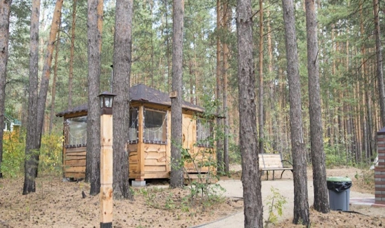 Фото №5 зала Скандинавские беседки