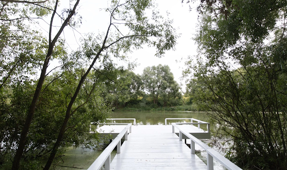 Фото №8 зала Дом на берегу с верандой