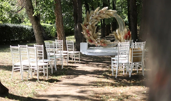 Фото №2 зала Аллея деревьев