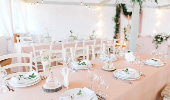 Фото №5 зала Зал «Малая медведица»