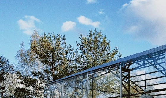 Фото №15 зала Банкетный зал