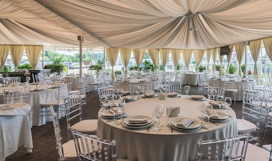 Фото №16 зала Веранда «Гуси-Лебеди»