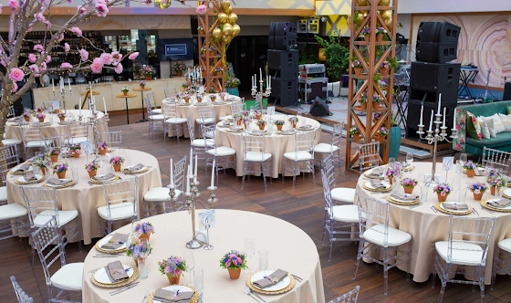 Фото №7 зала Терраса-оранжерея