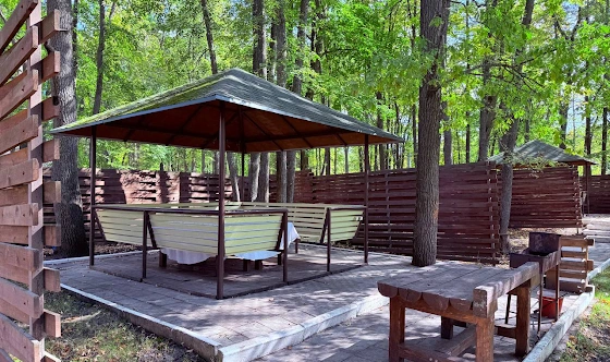 Фото №2 зала Летняя веранда