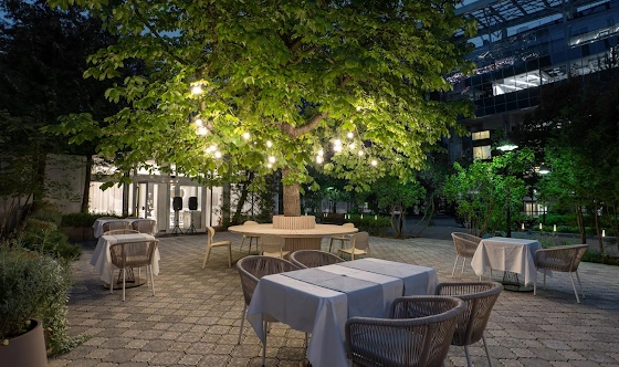 Фото №7 зала Летняя веранда 