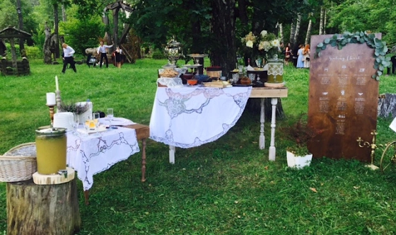 Фото №1 зала Поляна сказок