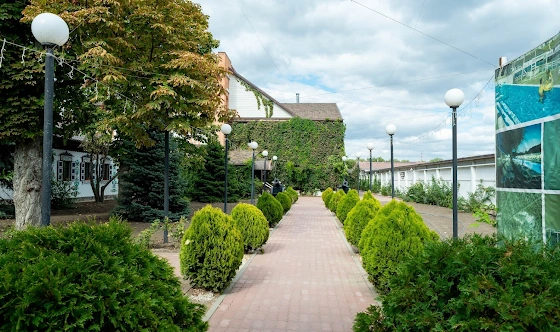 Фото №12 зала Зал "Веранда"