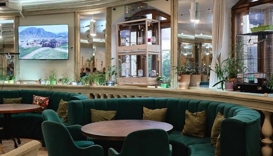 Фото №9 зала Основной зал 