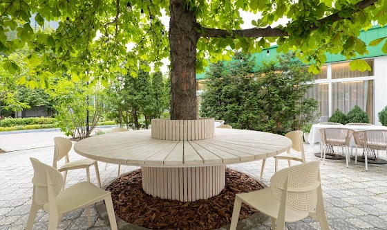 Фото №13 зала Летняя веранда 