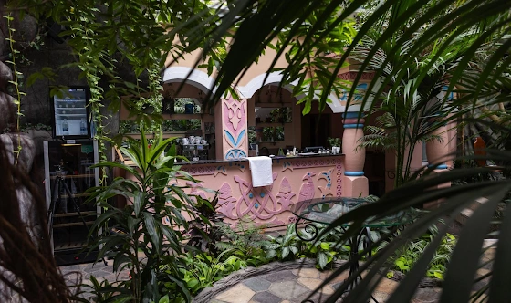 Фото №11 зала Зал «Зимний сад»