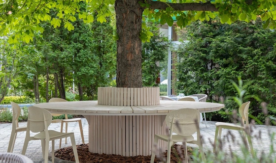 Фото №10 зала Летняя веранда 