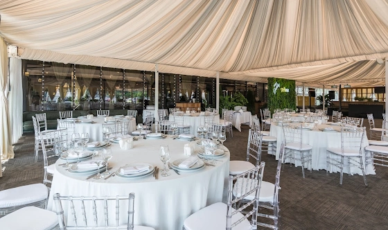 Фото №20 зала Веранда «Гуси-Лебеди»