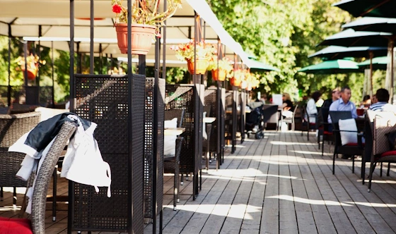 Фото №4 зала Летняя терраса