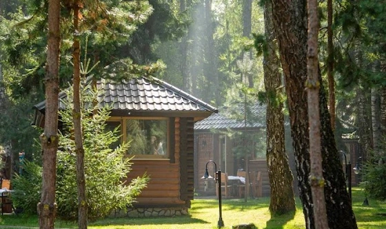 Фото №6 зала Домики 