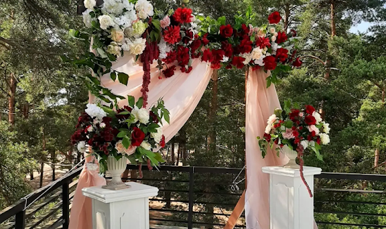 Фото №8 зала Основной зал 