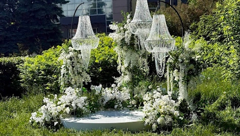 Фото №3 зала Зеленая полянка