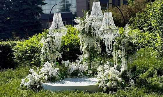 Фото №3 зала Зеленая полянка