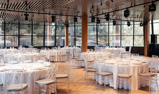 Фото №11 зала Klen