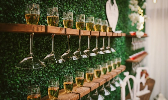 Фото №17 зала Банкетный зал