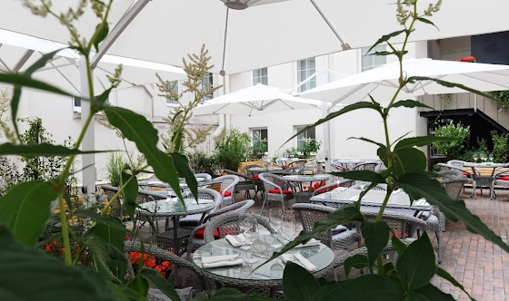 Фото №7 зала Терраса "Helen's Garden"