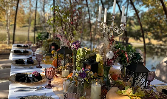 Фото №3 зала Беседка "Купольная"