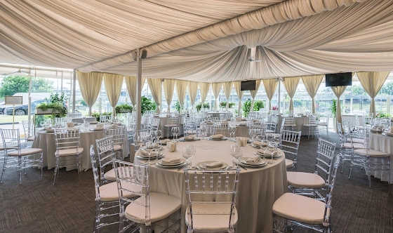 Фото №17 зала Веранда «Гуси-Лебеди»