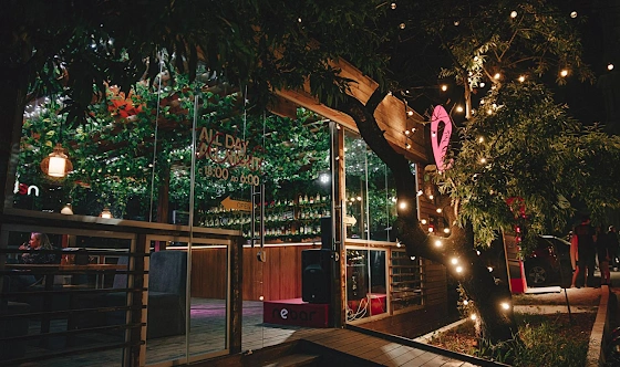 Фото №1 зала Летняя веранда