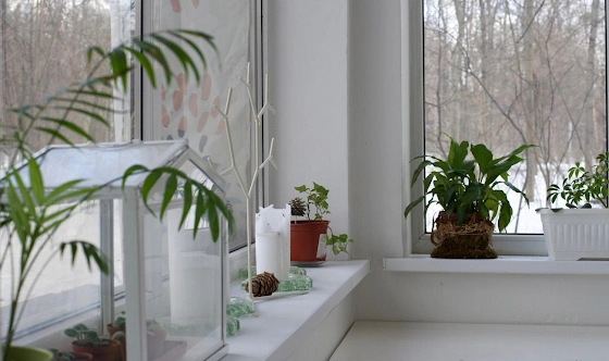 Фото №8 зала Помещение