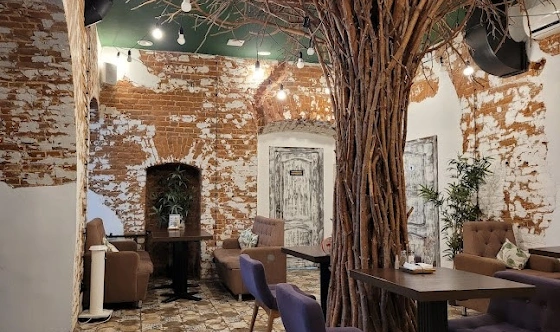 Фото №1 зала Зал на 25 человек