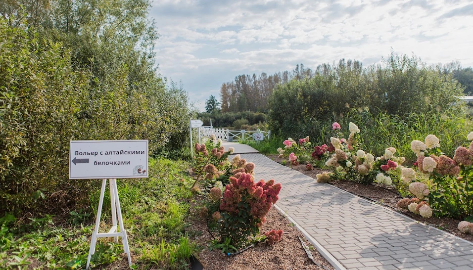 Фото №20 зала Терраса "NATURA"