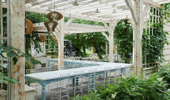 Фото №8 зала Летняя веранда