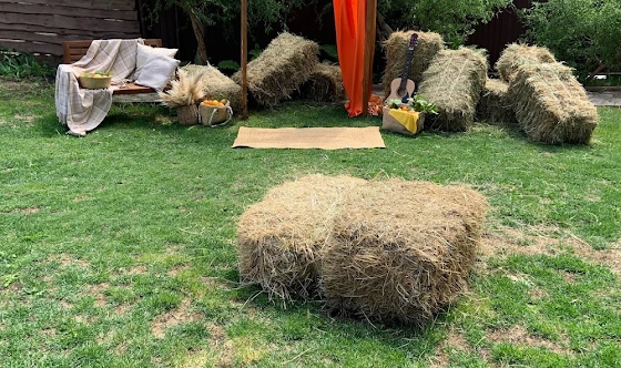 Фото №13 зала Зеленая площадка