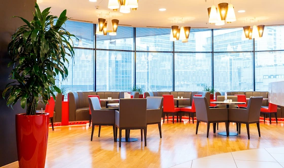 Фото №7 зала Кафе "illy"