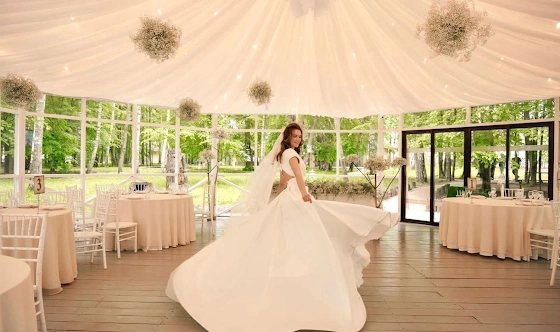 Фото №4 зала Шатер панорамный