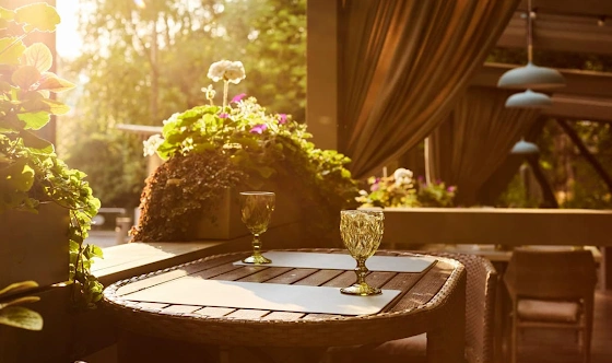 Фото №11 зала Летняя веранда 