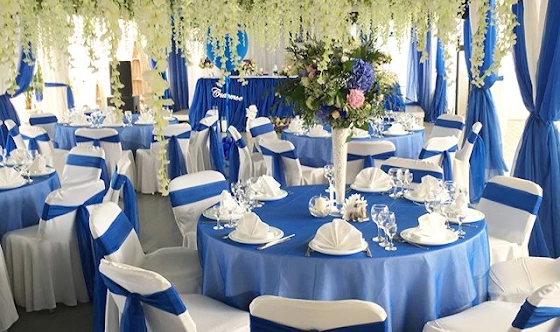 Фото №1 зала MopeMope