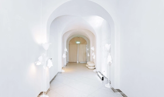 Фото №19 зала Большой зал