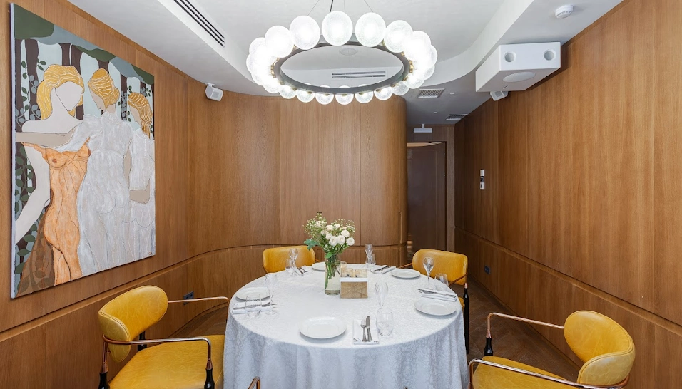 Фото №5 зала VIP-комната