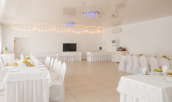 Фото №10 зала Зал «Бежевый»