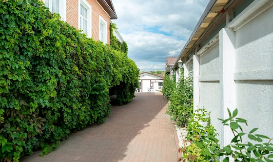 Фото №11 зала Зал "Веранда"