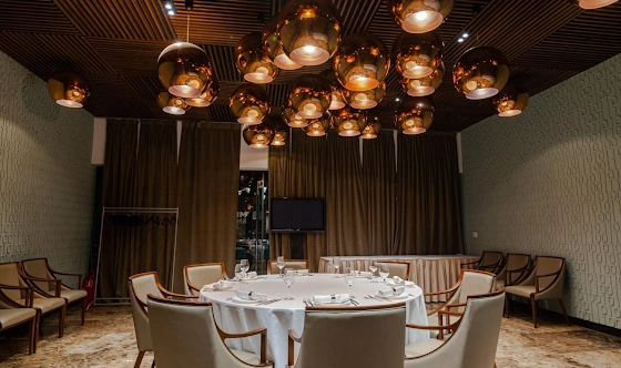 Фото №8 зала VIP - Зал