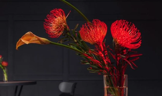 Фото №6 зала Банкетный зал