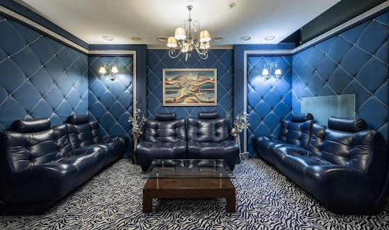 Фото №12 зала VIP-зал