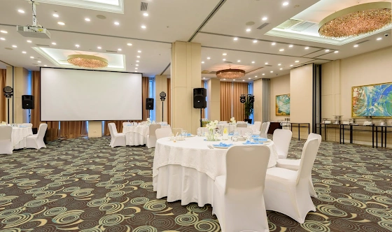 Фото №11 зала Зал "Сенатор"