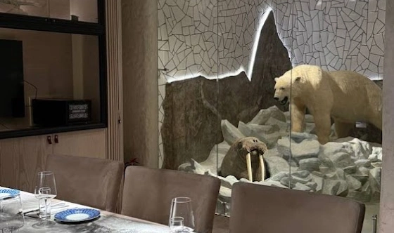 Фото №3 зала VIP-комната «Экспедиция север»