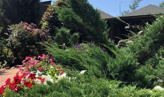 Фото №10 зала Зал «Летний»