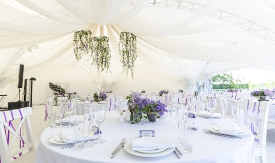 Фото №10 зала Малый шатер